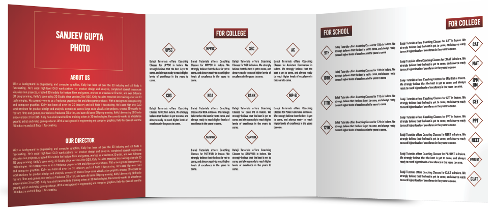 Brochure Designing Services