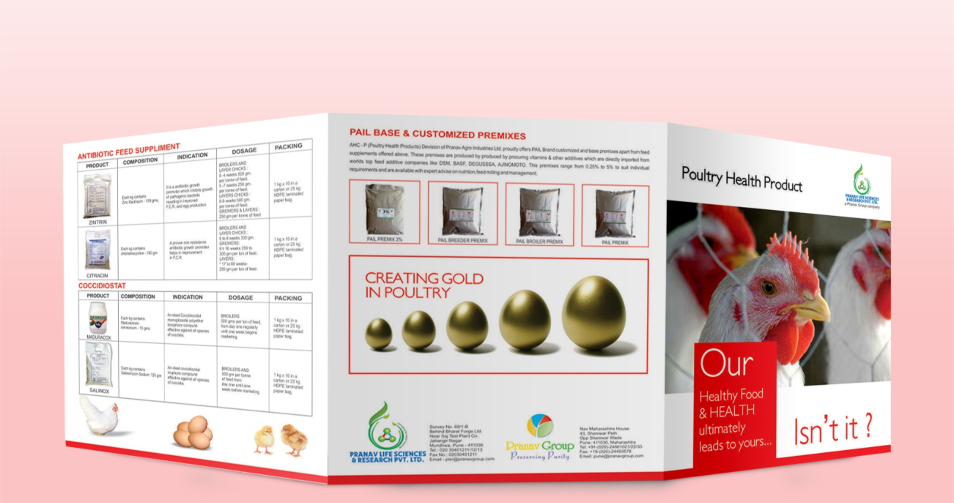 Brochure Designing Services