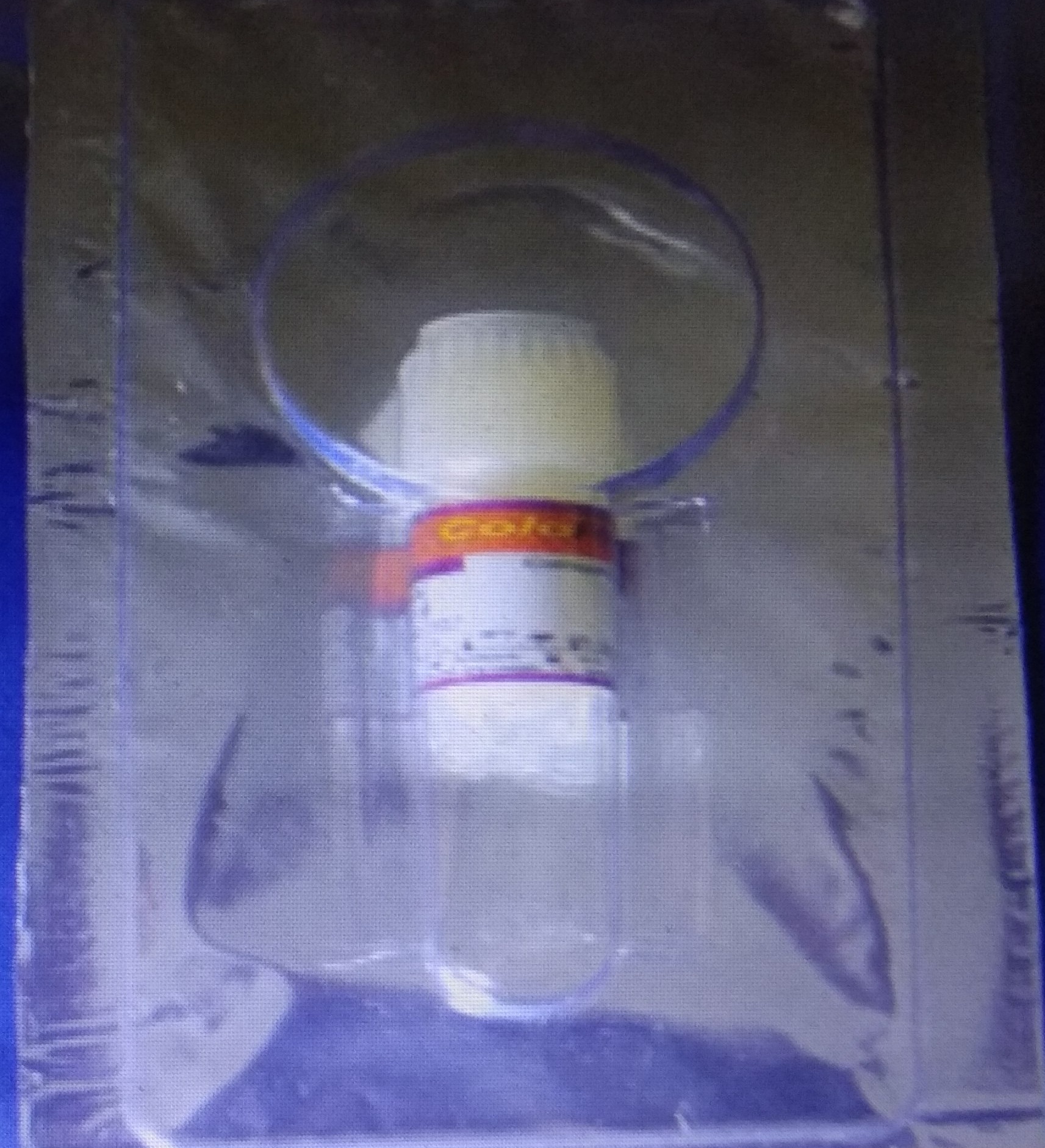 Coloplug