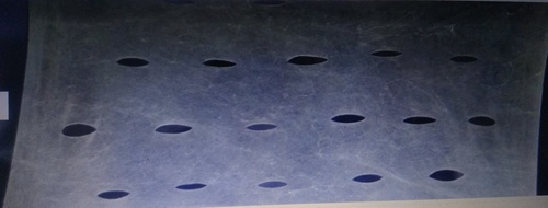 WET COLLAGEN SHEET IN MESHED FORM