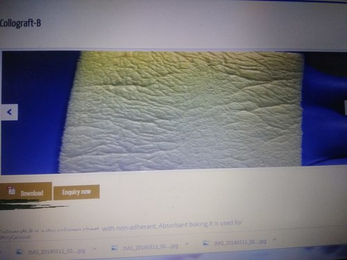 COLLAGEN DRY MEMBRANE SHEET