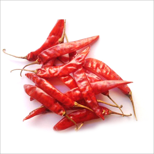 Dried Guntur Red Chilli