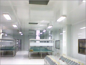 क्लीन रूम मॉड्यूलर पैनल