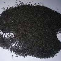 Tulsi Plant - Color: Na
