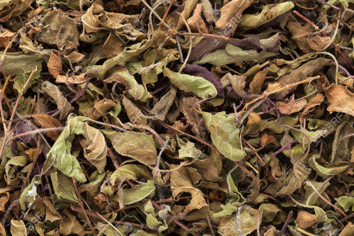 Tulsi Leaves