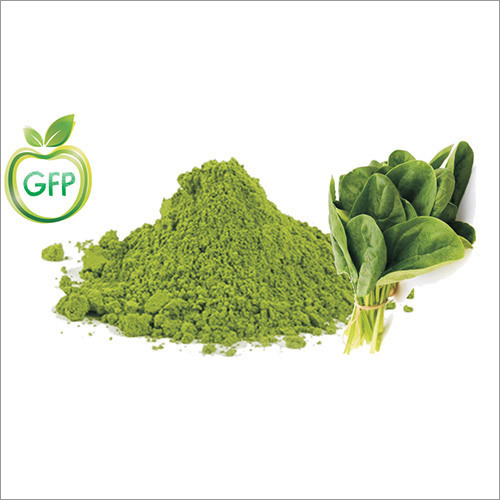 Spray Dried Spinach Powder