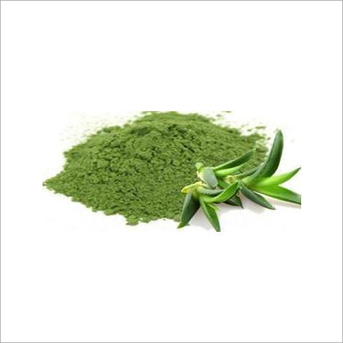 Aloe Vera Extract