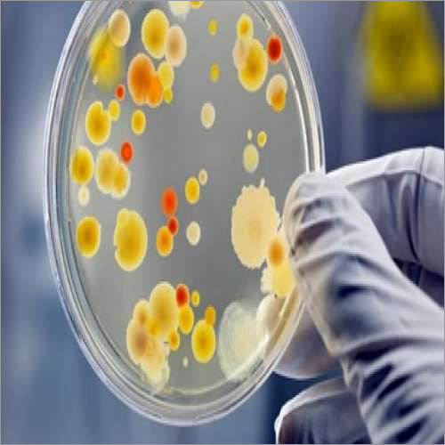 Microbiological Food Testing Service - Specialized Air & Media Filtration Analysis | ISO Certified, State-of-the-Art Equipment, Flexible Sample Size, Controlled Incubation Conditions