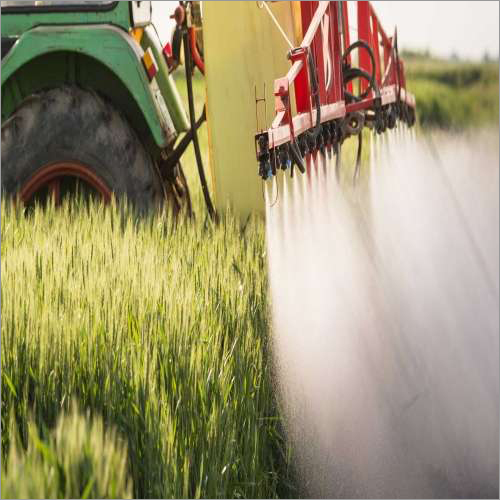 Cereals And Pulses Testing Service - Advanced Spectrophotometry & Chromatography Techniques | Certified Reference Materials, Detailed Analytical Reports, Quality Control Audits