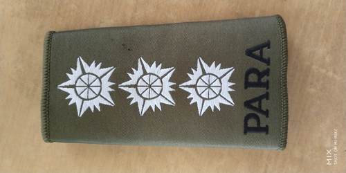 पैरा बुना हुआ लेबल