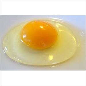Fresh Egg