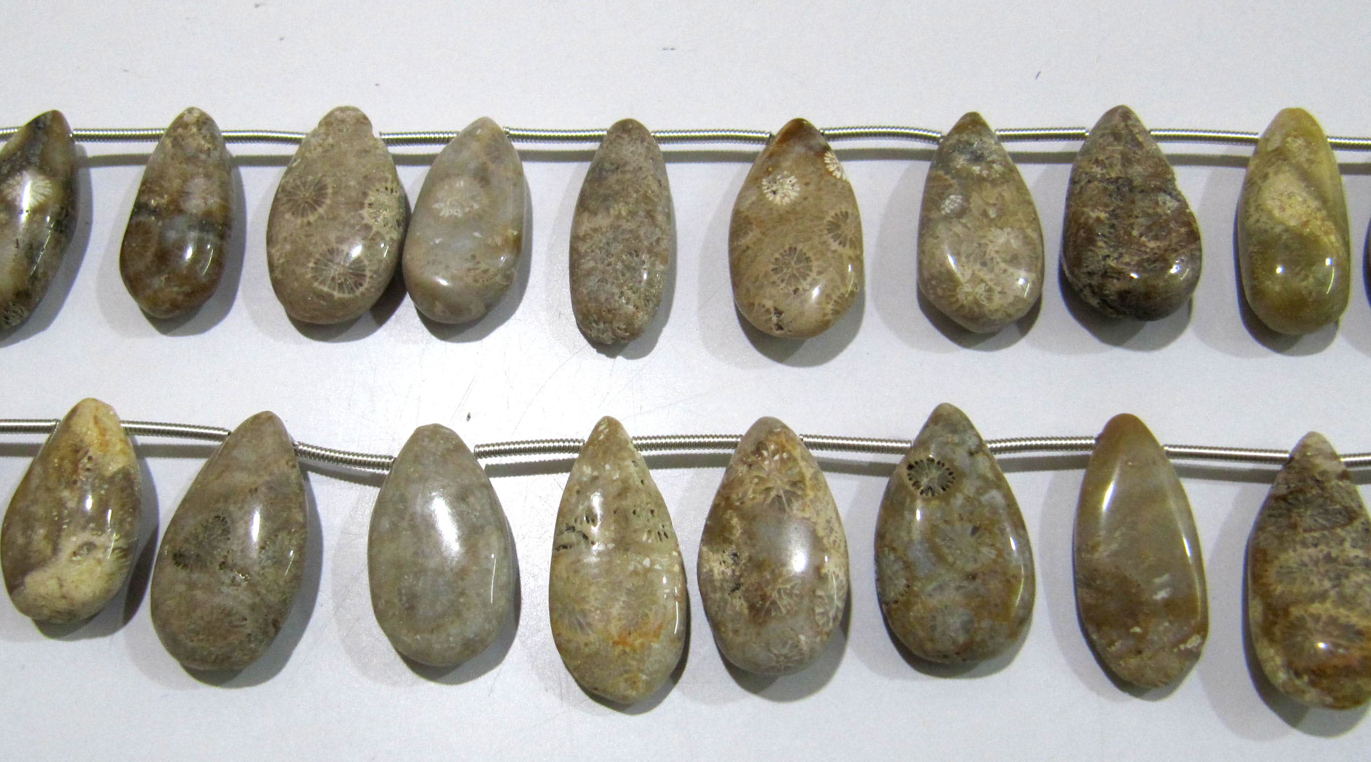 Natural Fossil Coral Pear Shape Plain Smooth Briolette Beads