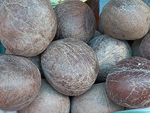 Coconut Copra - Whole Dried Coconuts | Hygienically Processed, Suitable For Oil And Culinary Use