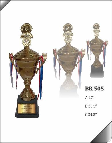 Br 505