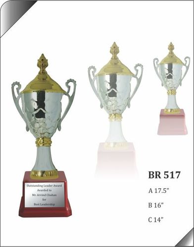 BR 517