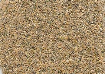 ग्वार कोरमा