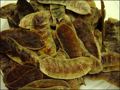 सेना पॉड्स