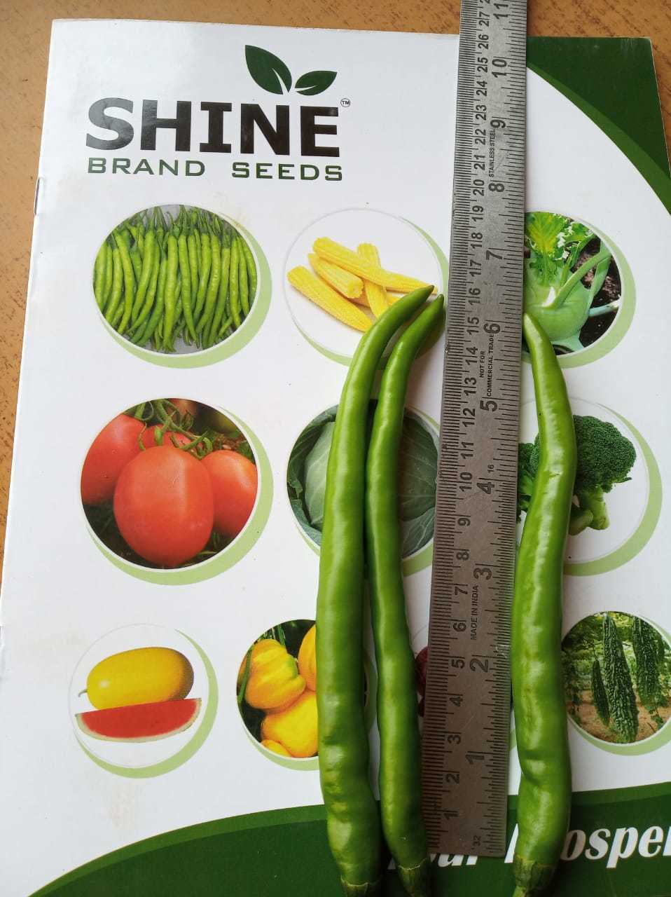 Green F1-shine 610 Hybrid Chilli Seed