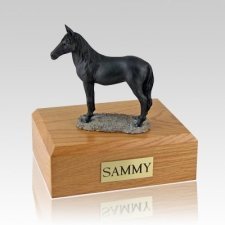 Plating Black Rearing X Large Horse Cremation Urn