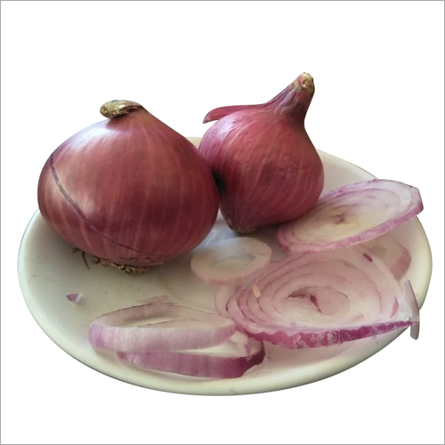 लाल प्याज