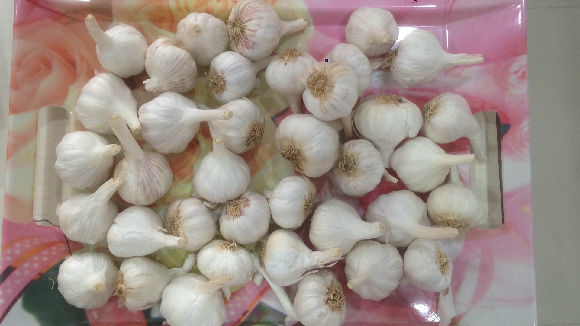 Fresh Garlic