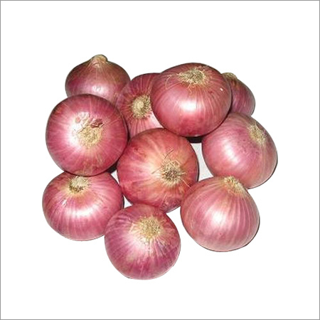 लाल प्याज