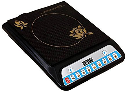 Portable Induction Stove
