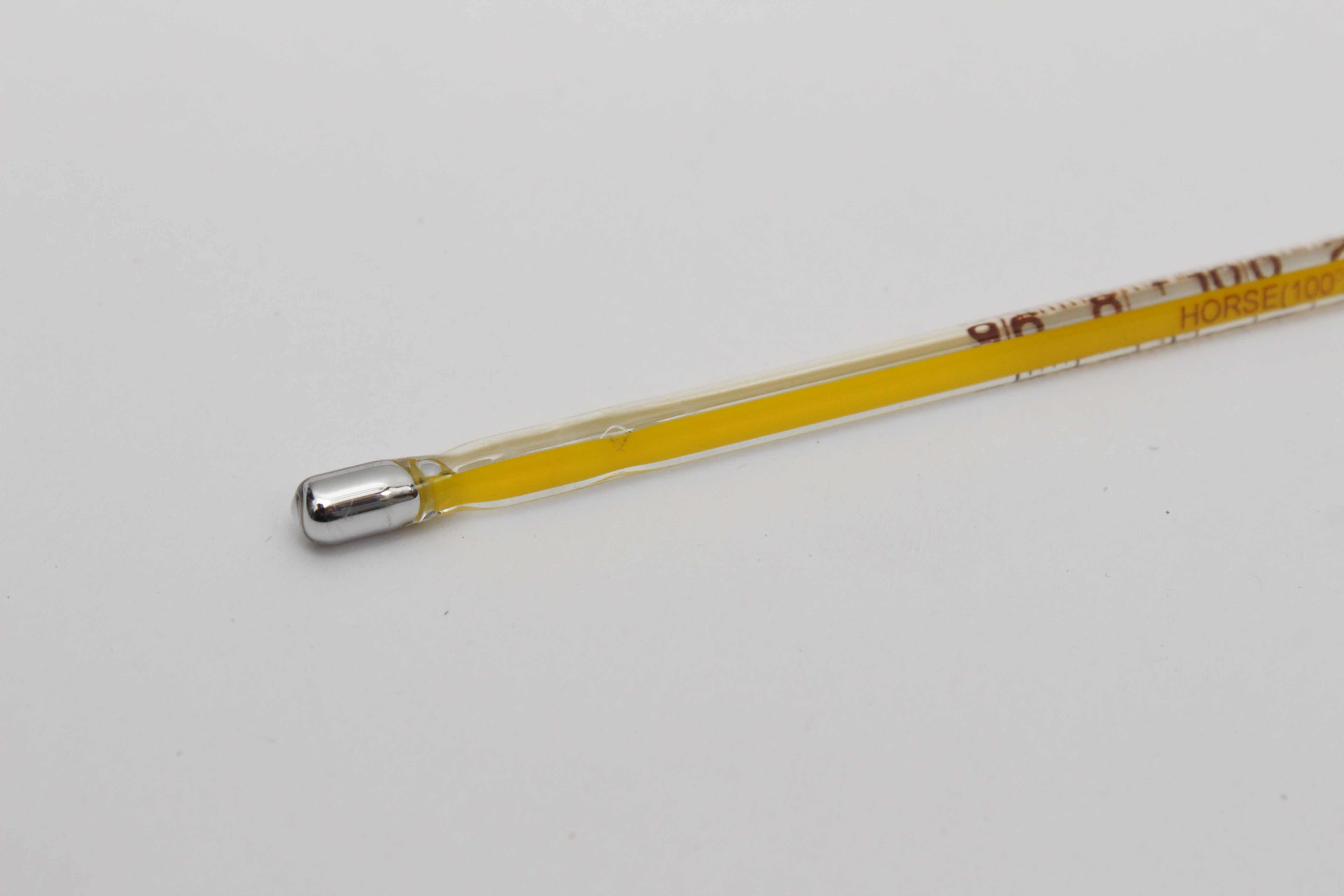 Veterinary Thermometers