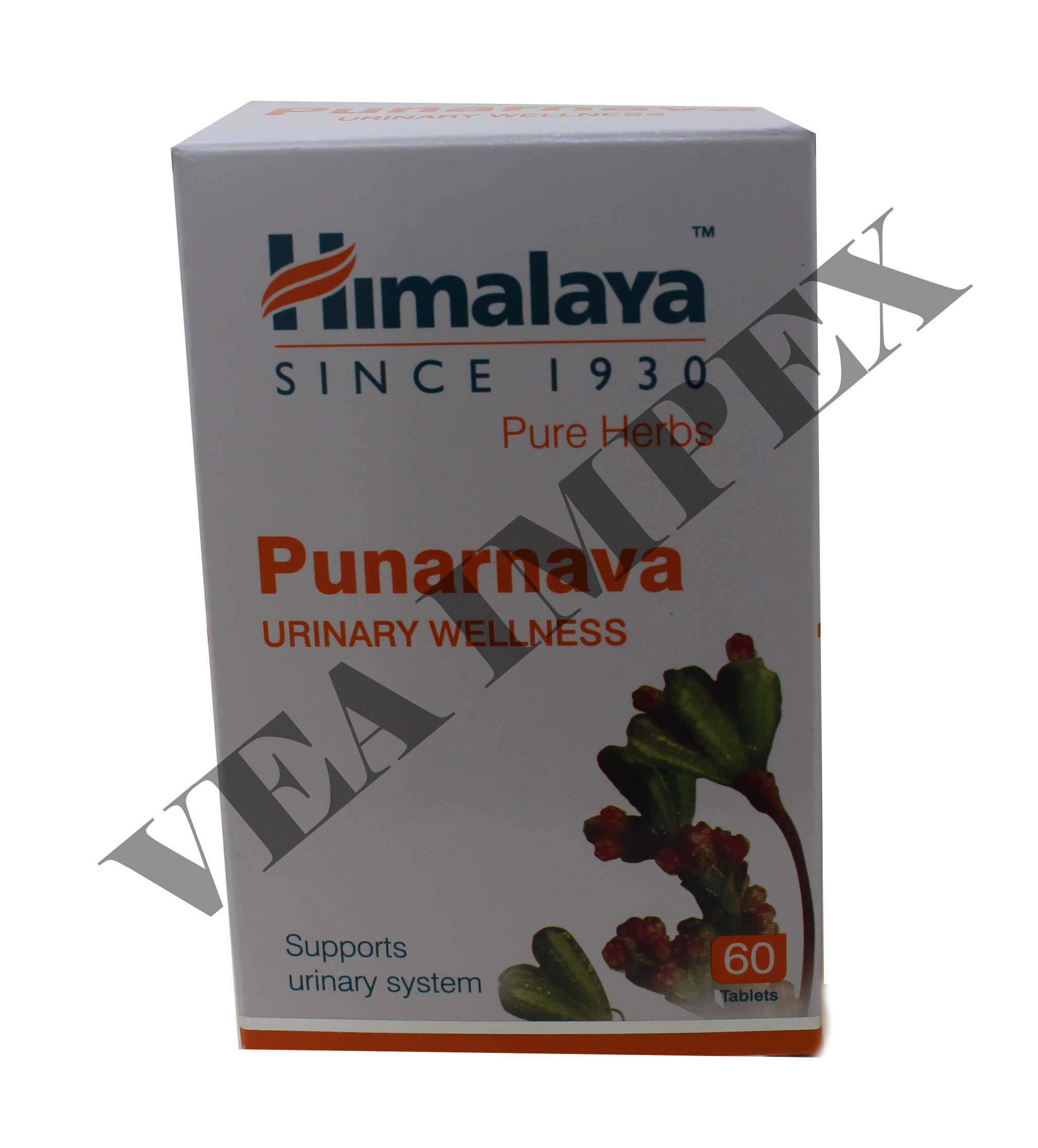 Punarnava General Medicines