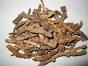 Picrorrhiza Kurroa Dry Extract Direction: As Directed By Physician