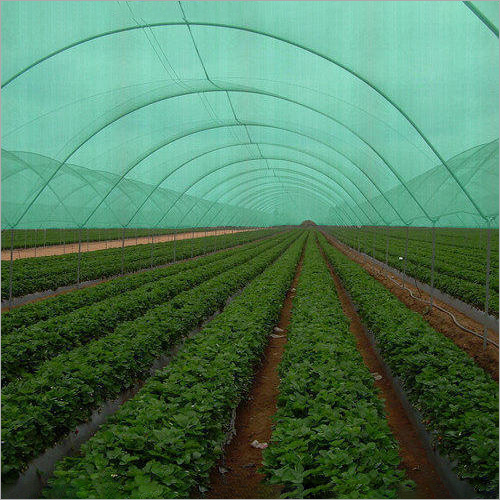 Agro Shade Net House - Polyethylene Material, Gutter Height 4 Mtr, Green & White Color | Seamless Finish, Ultraviolet Protection, Easy Assembly