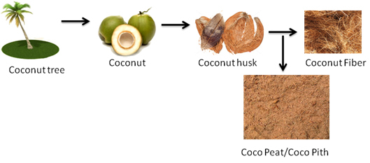 Powdered Coco Peat