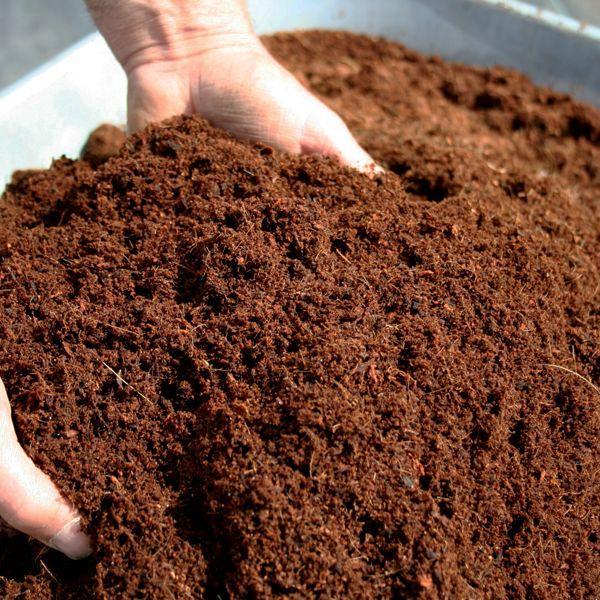 Powdered Coco Peat
