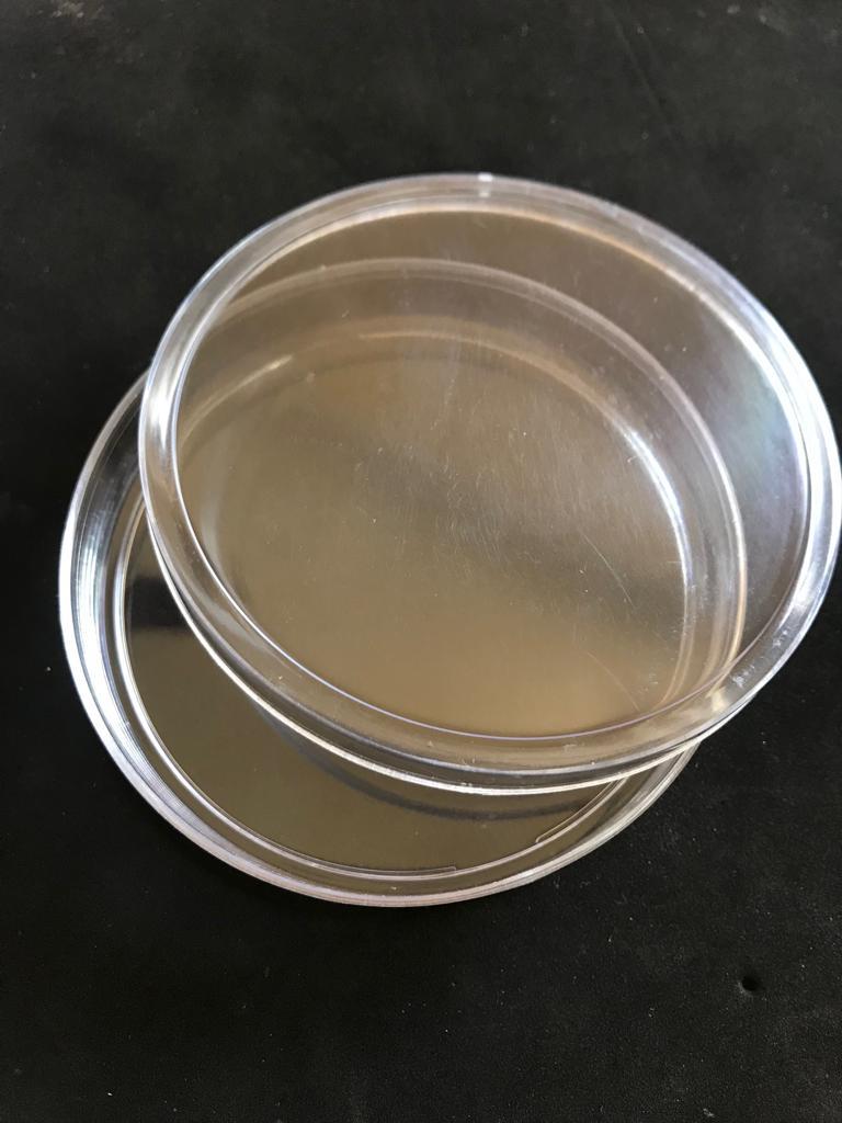 Petri Dish