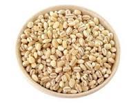 Hordeum Vulgare Dry Extract - Medicinal Grade Powder, Standardized For Flavones Min. 1.0% | Herbal Extract For Cancer Relief, Diuretic, Antioxidant, Immune Support