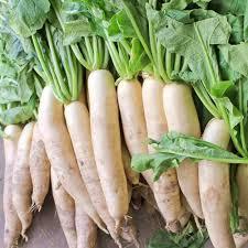 Raphanus Sativus Dry Extract Direction: As Advised By Physician