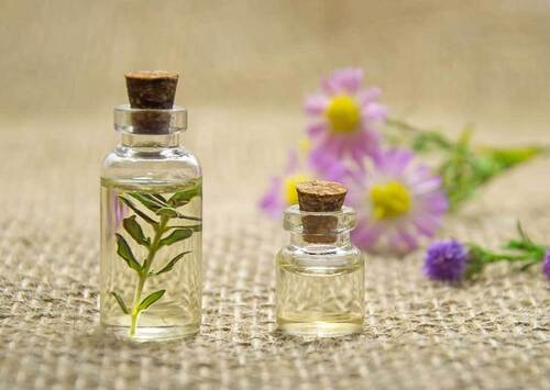 Fragrance Perfumes