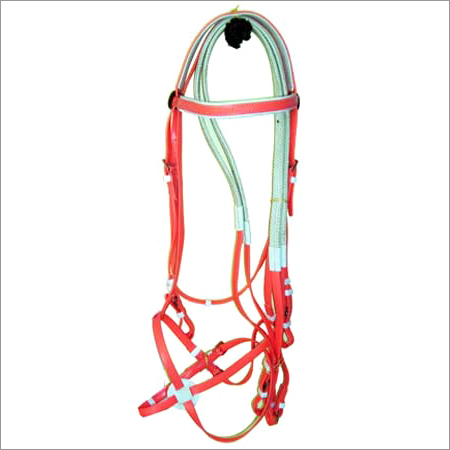 बायोथेन ब्रिडल एप्लीकेशन: हॉर्स राइडिंग