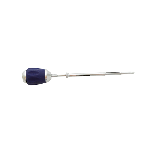 Purple And Silver Cervical Awl