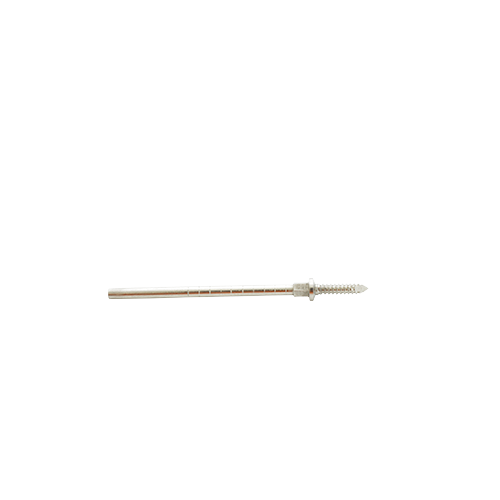 Silver Casper Pin