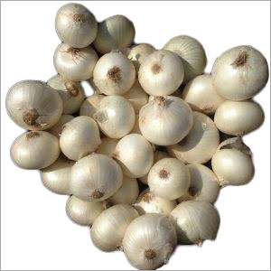 Fresh White Onion