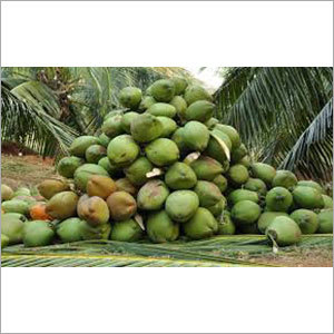 Fresh Raw Coconut
