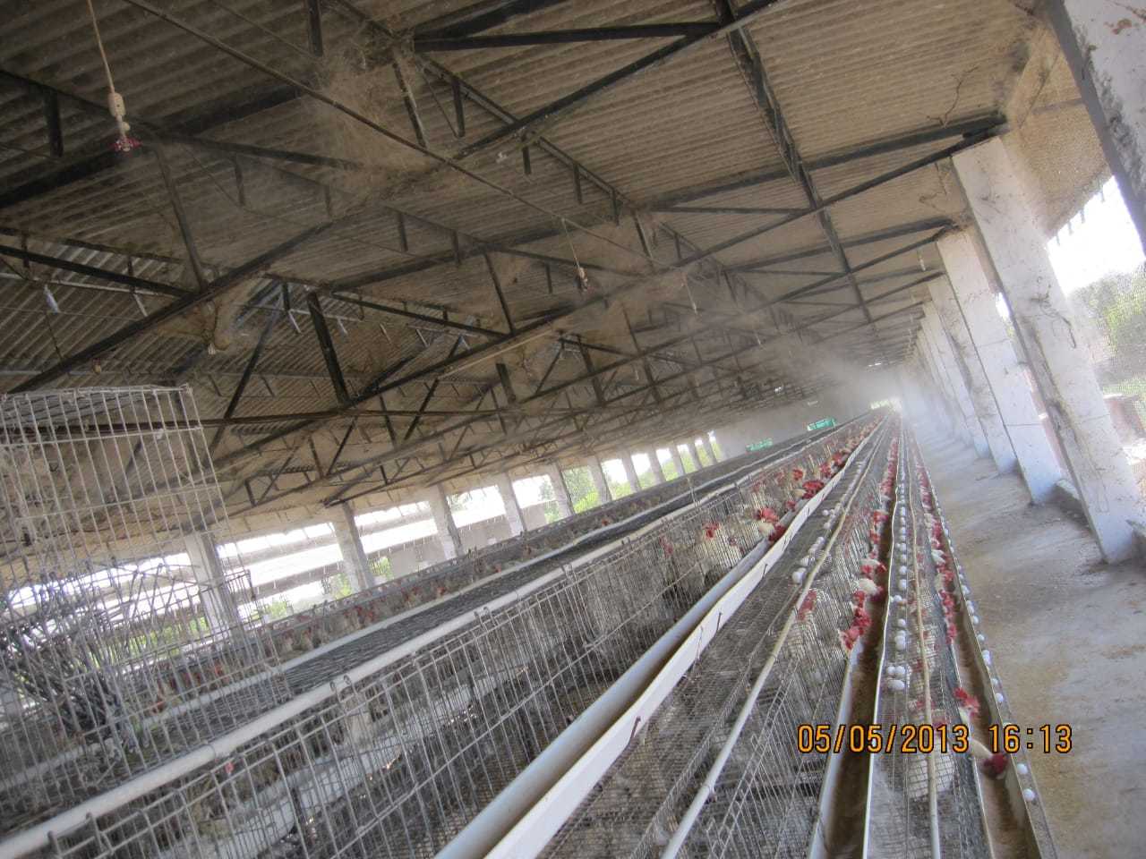 Four Way Fogger - 2.0 Gph Flow Rate, Plastic Material, Cooling Feeding System, Manual Technology