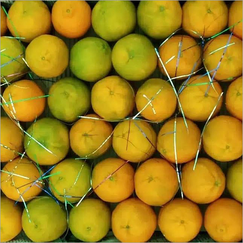 Common Fresh Orange