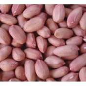 White Coimbatore Chikki Mixing Machine