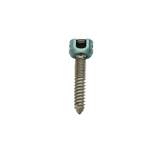 Silver Dual Thread Polyaxial Screw