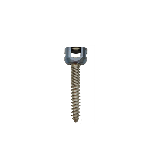 Silver Dual Thread Polyaxial Screw