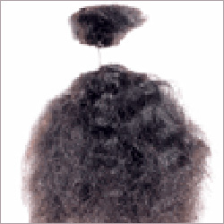 प्राकृतिक घुंघराले बाल एकल खींचे हुए