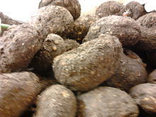 Amorphophallus Paeoniifolius Dry Extract - Standardized For Saponins Min. 10.0% | Medicinal Grade Powder, Nutrient Dense Herbal Extract For Chronic Ailments, Antioxidant, Diuretic, Stimulant