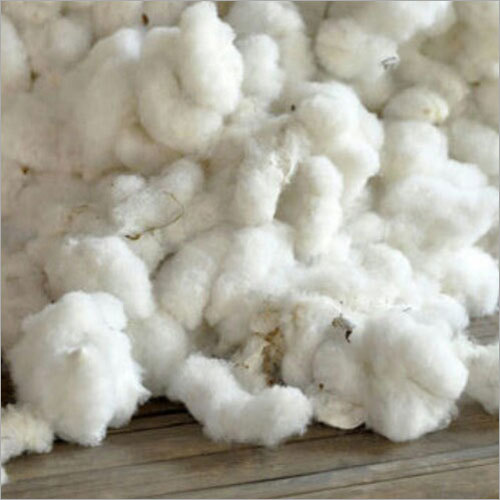 White Raw Cotton Bales
